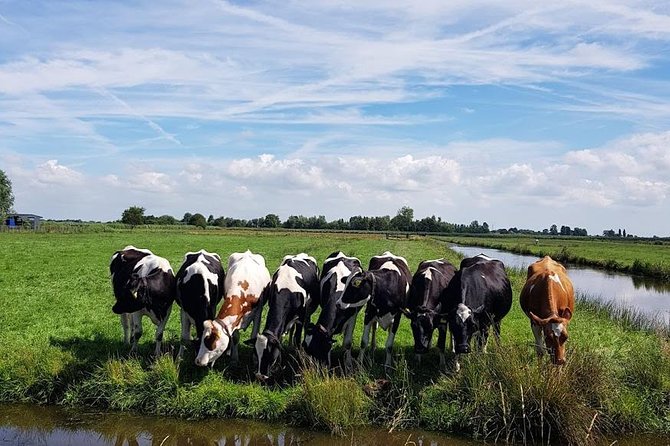 Keukenhof Skip-the-line Tickets: Countryside & Farm Private Tour - Haven Volendam: Fishing Village Vibes and a Coastal Break