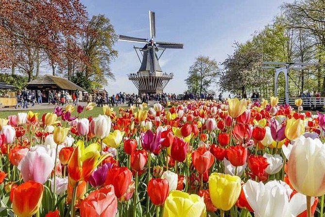 Keukenhof Skip-the-line Tickets: Countryside & Farm Private Tour - Price and Value: Is $548.47 Per Person Worth It?