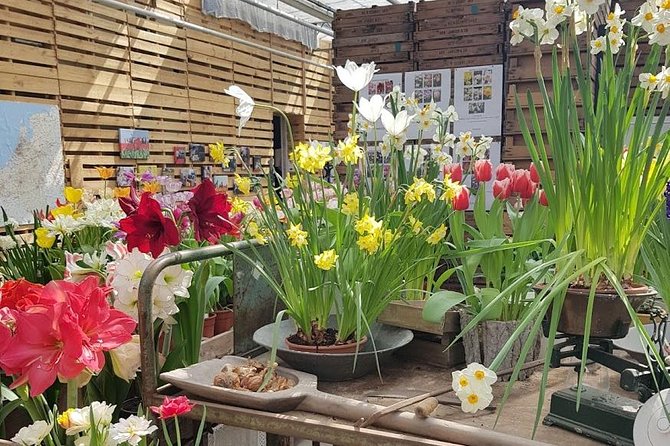 Keukenhof Skip-the-line Tickets: Countryside & Farm Private Tour - Lisse Bulb Farm and Flowerfields: Where the Season Starts