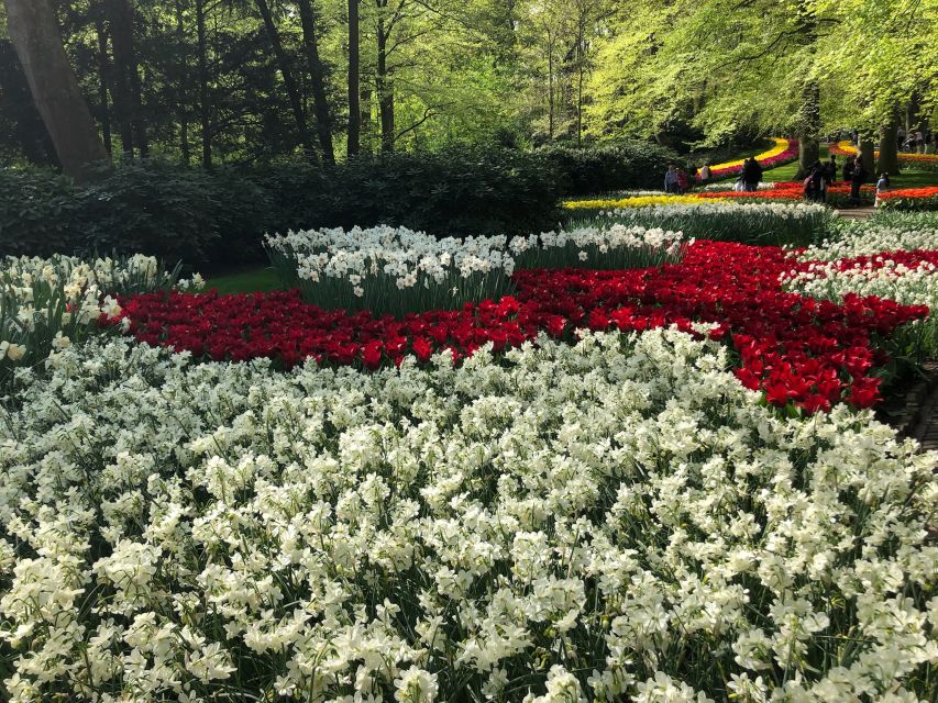 Keukenhof, Tulip Farm, Flower Fields & Windmills - From Amsterdam pickup to a flower-first route