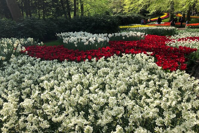 Keukenhof, Tulip Farm, Flower Fields & Zaanse Schans Windmills - A private tulip day from Amsterdam that actually feels efficient