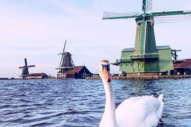 Keukenhof, Tulip Farm, Flower Fields & Zaanse Schans Windmills - The 7h15 day plan: how to pace yourself