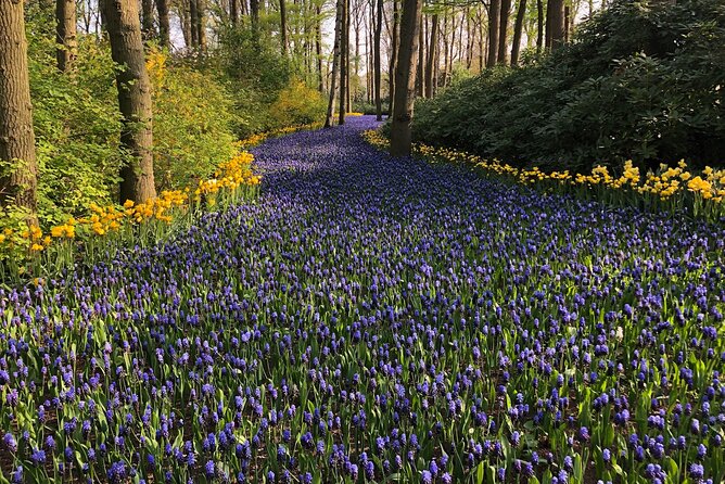 Keukenhof, Tulip Farm, Flower Fields & Zaanse Schans Windmills - Flower fields photo stops: scenic breaks, not extra errands
