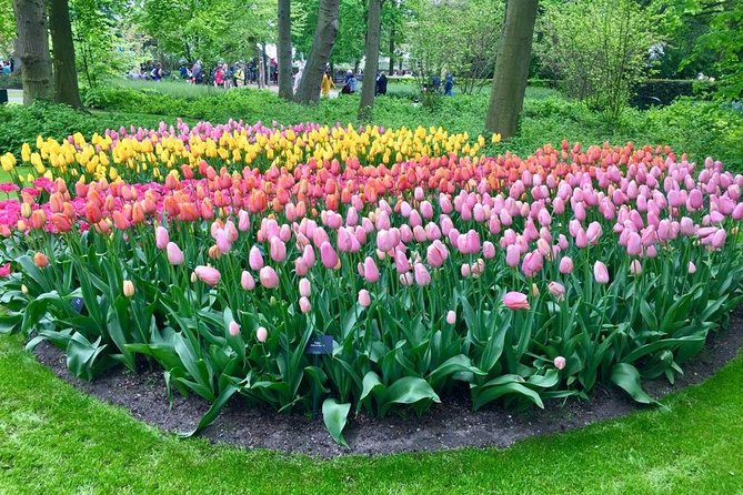 Keukenhof, Zaanse Schans Windmills Private Tour with Lunch - Getting Picked Up in Amsterdam Without Wasting Your Morning
