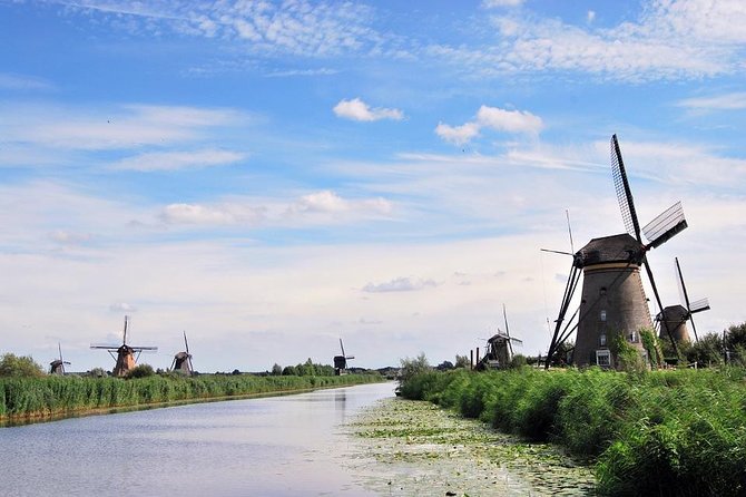 Kinderdijk, The Hague, Mauritshuis Private Tour from Amsterdam - Choosing your museum time: Mauritshuis, Escher in Het Paleis, or Madurodam