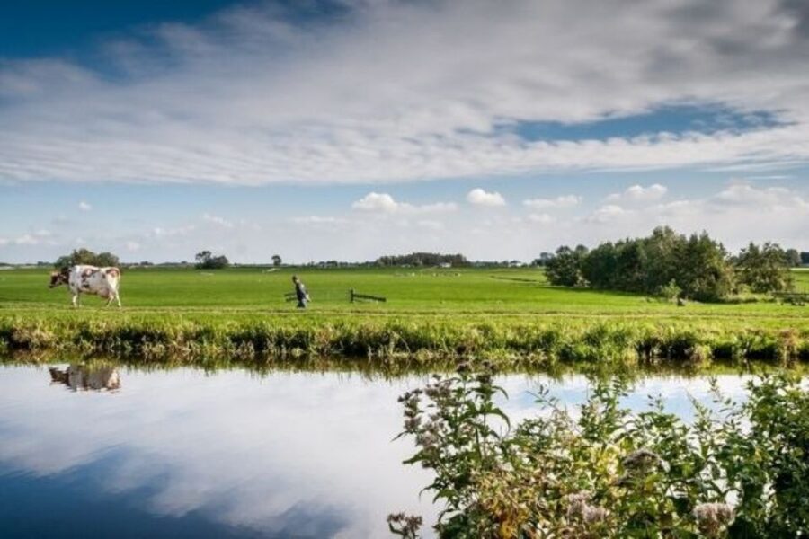 Leiden: Windmill and Countryside Cruise near Keukenhof - Key Things You Will Notice