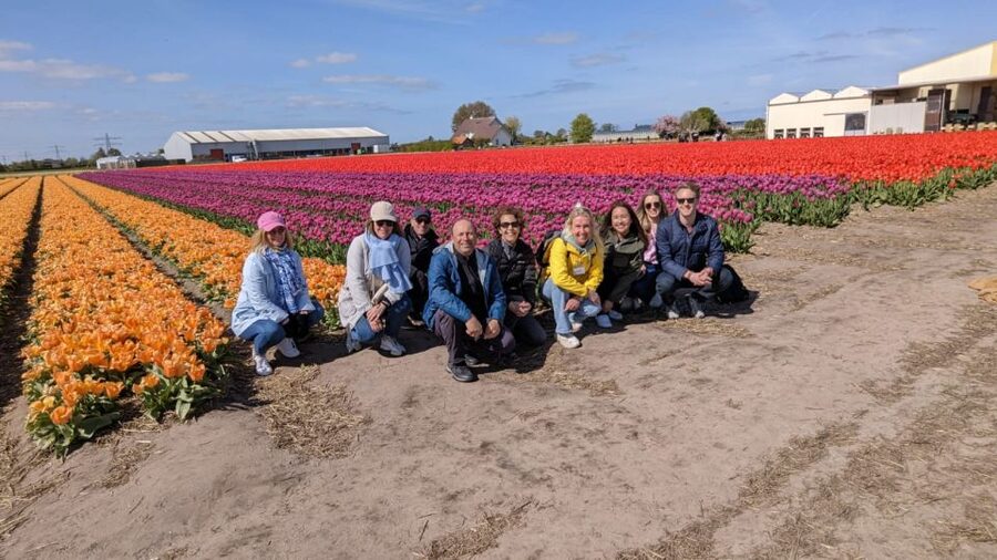 Lisse: Enjoy the Tulip Fields by Bike with a Local Guide! - Key Things to Know Before You Go