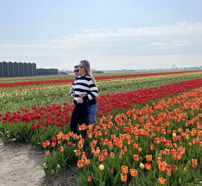 Lisse: Enjoy the Tulip Fields by Bike with a Local Guide! - When You Should Book, and When You Might Skip It