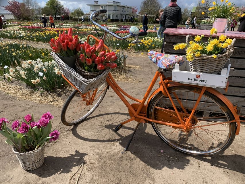 Lisse: Enjoy the Tulip Fields by Bike with a Local Guide! - Pacing, Fitness, and Who This Tour Fits Best