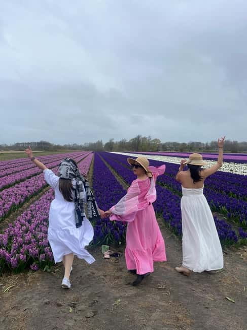 Lisse: Private Tulip Fields Tour with a Local Guide 1h Tour - Key things to know before you go