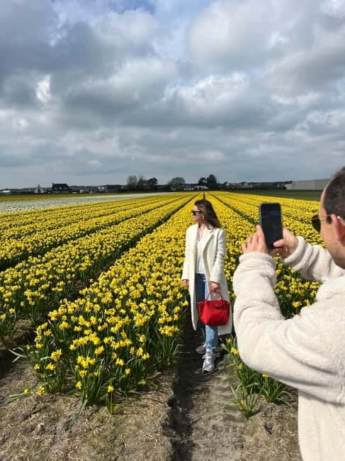 Lisse: Private Tulip Fields Tour with a Local Guide 1h Tour - Price and Value: When $182 Per Group Makes Sense