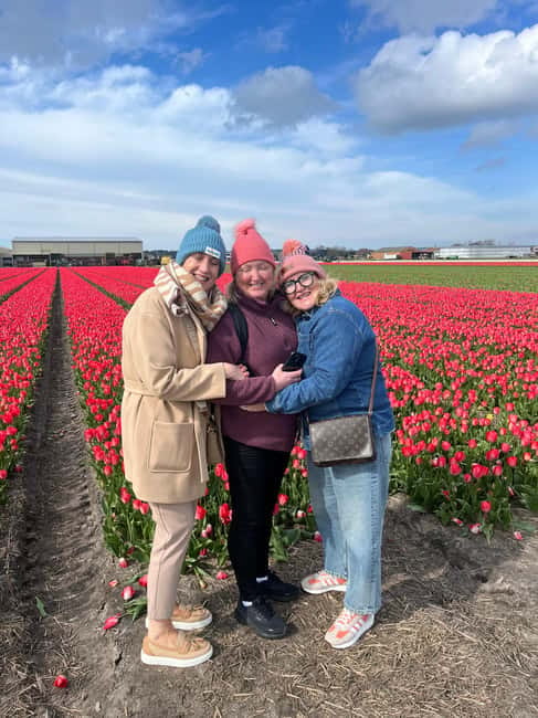 Lisse: Private Tulip Fields Tour with a Local Guide 1h Tour - Weather Reality Check for Dutch Tulip Days