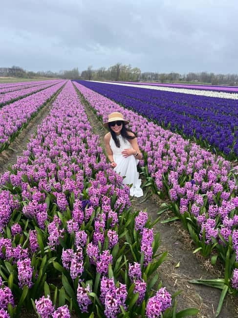 Lisse: Private Tulip Fields Tour with a Local Guide 1h Tour - Getting There, Pickup Options, and That Luxury-Car Convenience