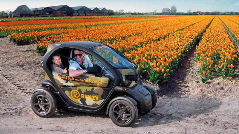 Lisse: Self-Guided Tulip Fields GPS Audio Tour - Key points before you go