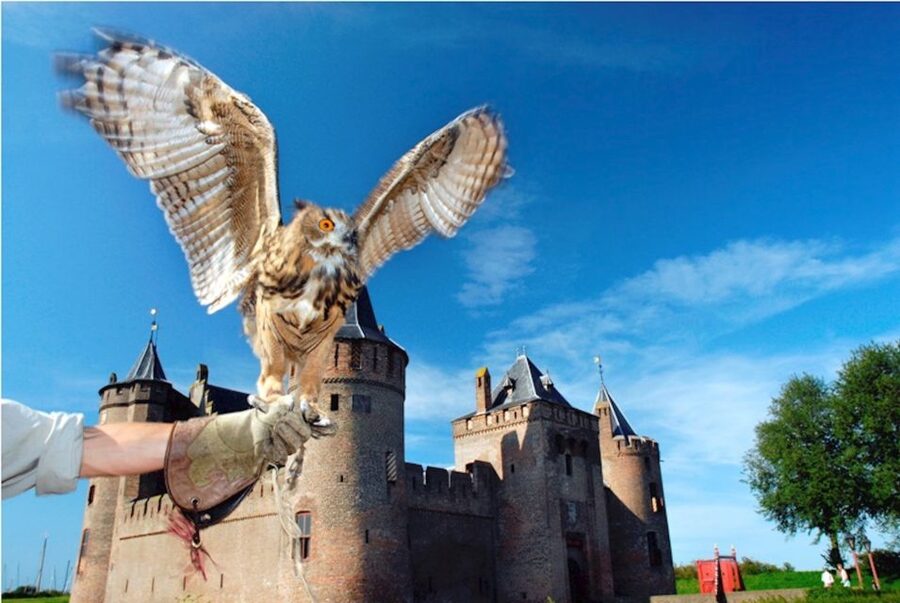 Muiden: Entry Ticket to Muiderslot Castle - Muiderslot Castle in Muiden: what makes the setting worth your time