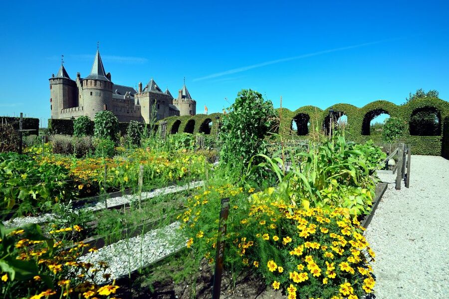 Muiden: Entry Ticket to Muiderslot Castle - Where to meet: Herengracht 1 in Muiden, and how to set expectations