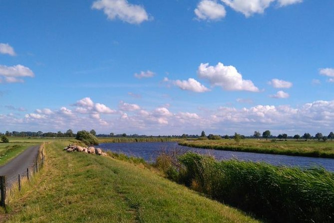 Off the beaten paths Dutch Country Side Private Tour in Jaguar - Simonehoeve cheese farm and clogs factory: optional, plan it based on your interests