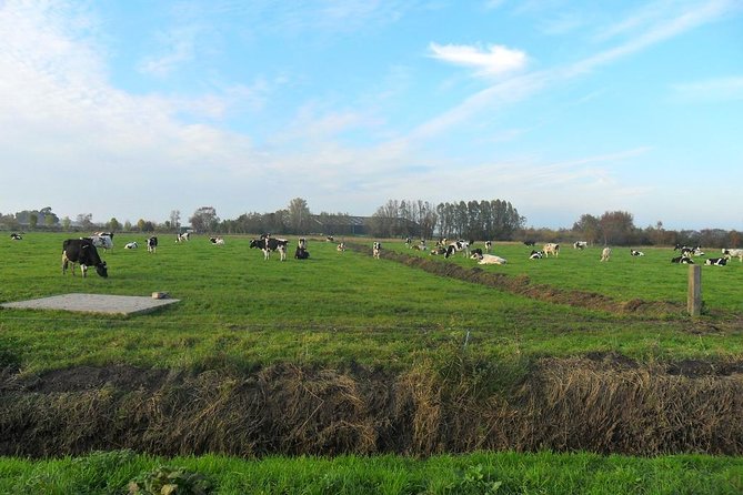 Off the Beaten Paths Dutch Landscape Private Tour 1/2 day Jaguar - Edam for Cheese Country, Then Durgerdam for Dike Views