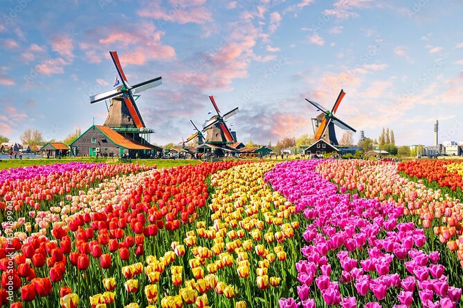 Private Countryside Tour From Amsterdam - Quick hits before you go