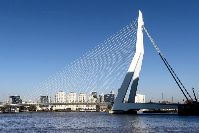 Private Day Tour: Rotterdam, Delft & The Hague From Amsterdam - From Erasmus Bridge to De Rotterdam: skyline photos without the grind