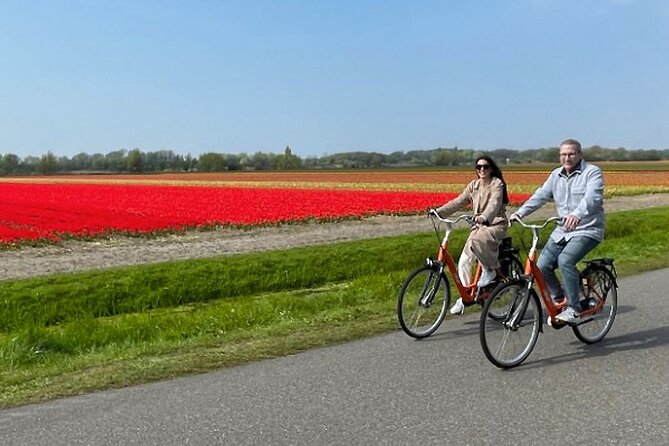 Private Day Tour to Keukenhof Gardens - from Amsterdam/Rotterdam - Keukenhof Gardens: skip-the-line plus guided tulip primer