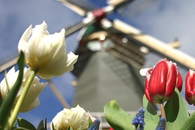 Private Day Tour to Keukenhof Gardens - from Amsterdam/Rotterdam - Price and value check for a private Keukenhof day