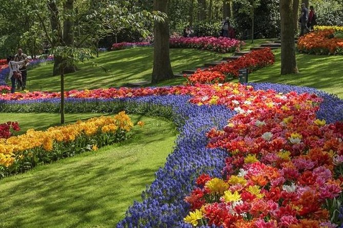 Private Day Tour to Keukenhof Gardens - from Amsterdam/Rotterdam - Who this tour suits (and who might want a different style)