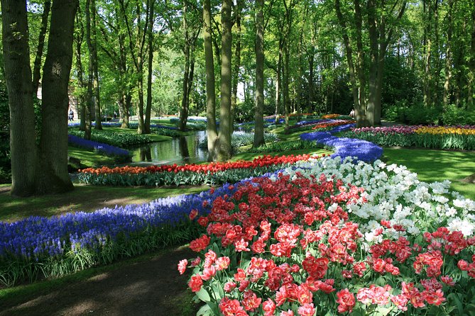 Private Day Trip from Amsterdam to Keukenhof with Entrance Tickets - Why This Private Keukenhof Trip Starts With Hotel Pickup