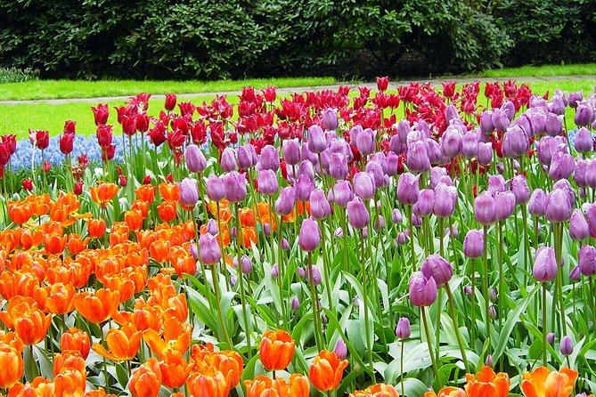 Private Day Trip from Amsterdam to Keukenhof with Entrance Tickets - Queue-Jump Entrance Tickets: The Short Cut You Will Feel Immediately