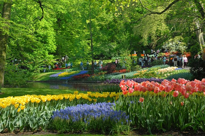 Private Day Trip from Amsterdam to Keukenhof with Entrance Tickets - How the Guide Helps You Avoid the Most Common Keukenhof Mistakes