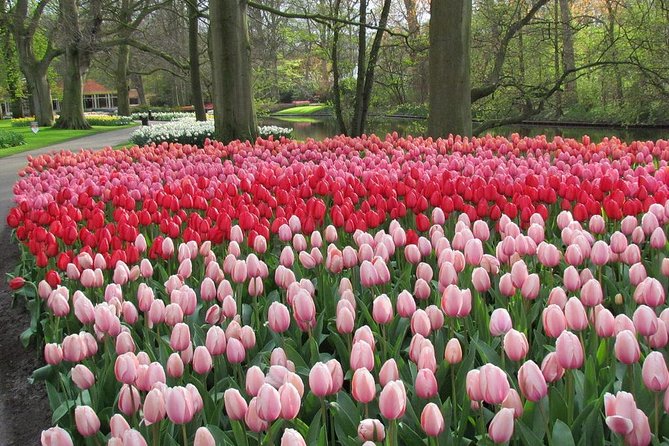 Private Day Trip from Amsterdam to Keukenhof with Entrance Tickets - Price and Value: What You’re Really Paying For at $467.26 per Person