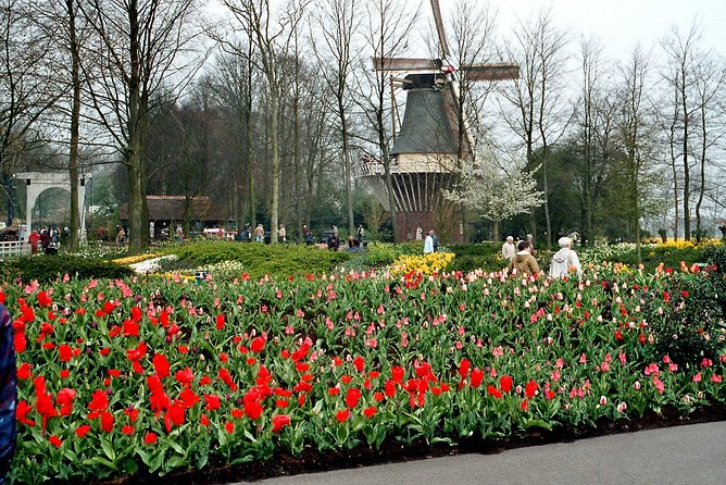 Private Day Trip from Amsterdam to Keukenhof with Entrance Tickets - Transport, Timing, and What “Six Hours” Really Feels Like