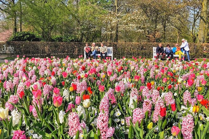 Private Day Trip to Keukenhof Gardens with Entrance Tickets - Hotel pickup in Amsterdam, then straight to Lisse