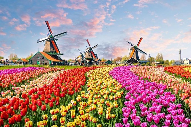 Private Day Trip to Zaanse Schans, Volendam & Marken from Amsterdam - Zaanse Schans windmills, cheese, and clogs, with one key planning detail