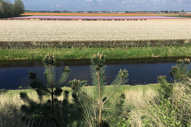 Private daytour from Amsterdam into the Countryside - Marken, the Former Island That Feels Frozen in Time