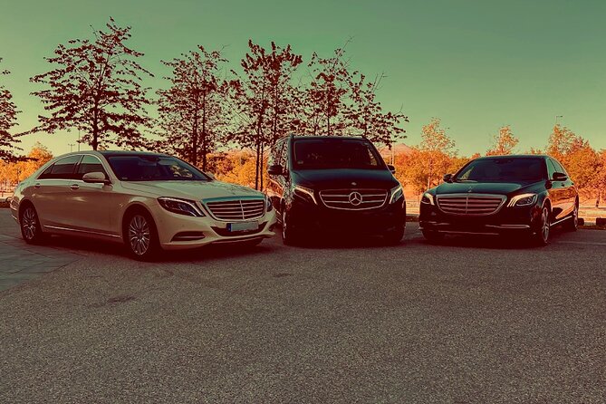 Private Departure Transfer: Schiphol Airport Amsterdam - Quick take: private transfer to Schiphol, made practical