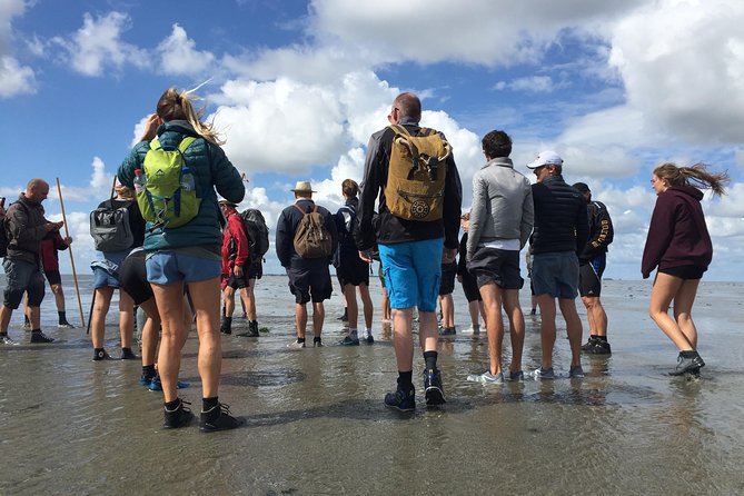 Private Guided Full-Day Customizable Tour of Holland from Amsterdam - How the customizable plan really helps (and how to use it)