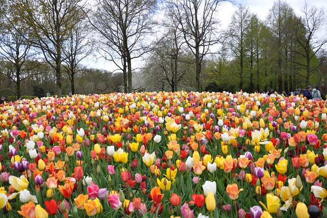 Private Guided Keukenhof Gardens and Zaanse Schans Tour - A 6-hour private route from Amsterdam, with pickup included