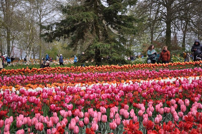 Private Guided Keukenhof Gardens and Zaanse Schans Tour - Wooden clogs at Kooijman workshop, plus what to look for