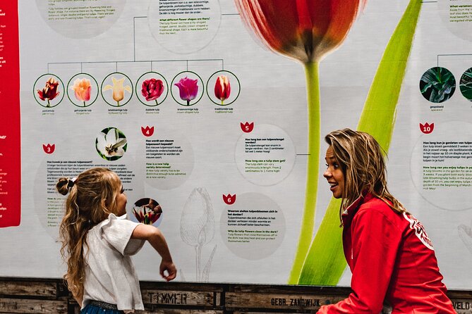 Private Keukenhof Gardens and Tulip Fields Tour from Amsterdam - Key highlights before you go