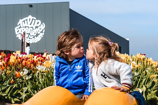 Private Keukenhof Gardens and Tulip Fields Tour from Amsterdam - Price and value: is $378.92 per person worth it?