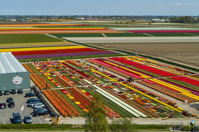 Private Keukenhof, Gardens, Windmills, cheese tour from Amsterdam - Zaanse Schans windmills and crafts: where Dutch photo stops become real