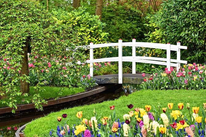 Private Keukenhof, Gardens, Windmills, cheese tour from Amsterdam - Keukenhof gardens: using your 2 hours well (and not overthinking it)