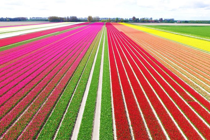 Private Keukenhof Park and Tulip Fields Tour (Skip-The-Line) - Key Highlights That Matter