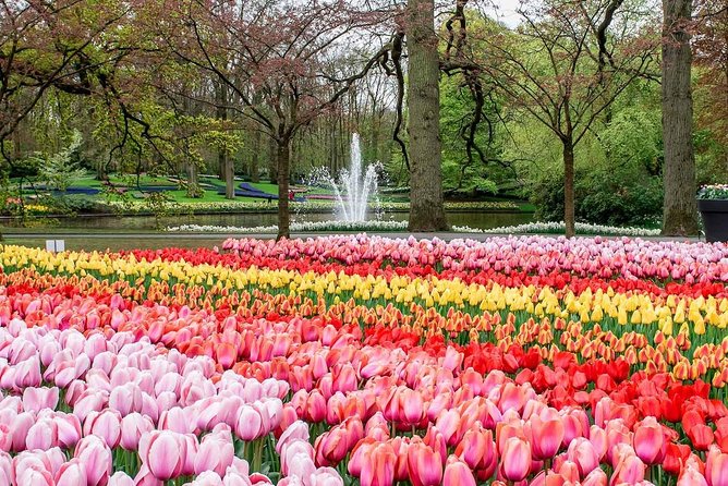 Private Keukenhof Park and Tulip Fields Tour (Skip-The-Line) - Keukenhof at Your Pace: Seven Million Flowers in a Carefully Planned Park