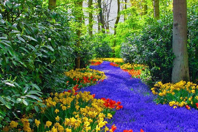 Private Keukenhof Park and Tulip Fields Tour (Skip-The-Line) - Photo Tips and Timing for a 5 Hour Spring Hit