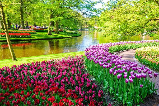 Private Keukenhof Park and Tulip Fields Tour (Skip-The-Line) - Tulip Fields and Bollenstreek Stops on the Way to Keukenhof