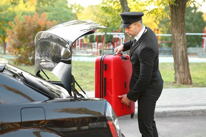 Private One way Transfer Amsterdam Airport to Amsterdam - Choosing the right vehicle size: sedan, minivan, minibus, and luggage limits