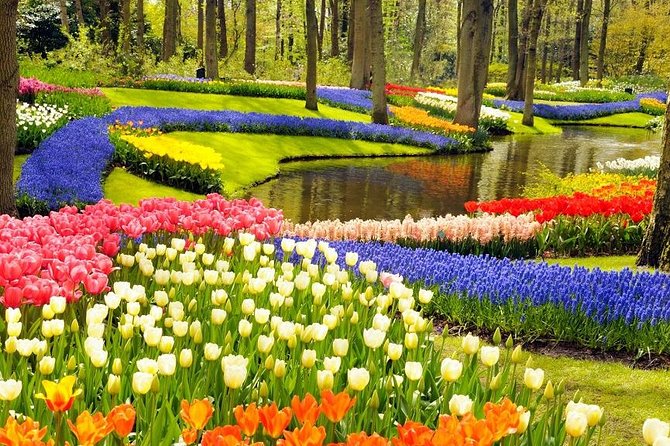 Private Tour to the Keukenhof and Tulip Fields - Aalsmeer flower auction at 7:00 AM: the shipping machine behind the blooms