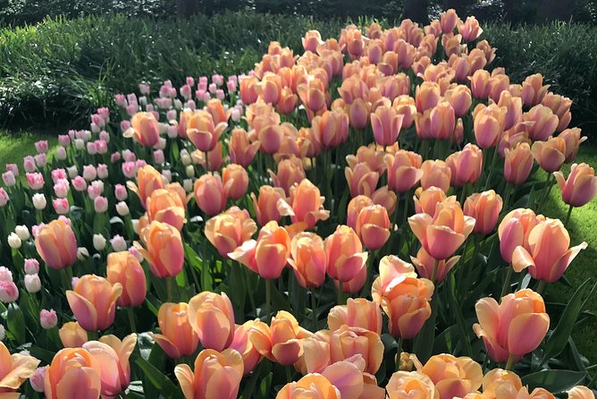 Private Tour to the Keukenhof and Tulip Fields - Price and value: what $318.70 per person really covers